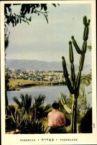 Ak Tiberias Israel, Durchblick zum Ort, Kakteen