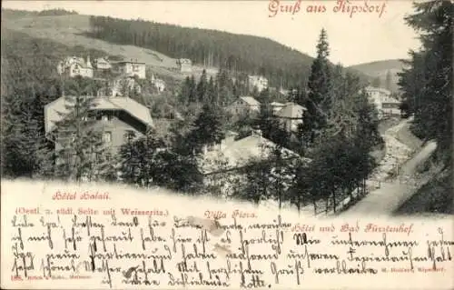 Ak Kipsdorf Altenberg im Erzgebirge, Hotel Halali, Villa Flora, Bad Fürstenhof