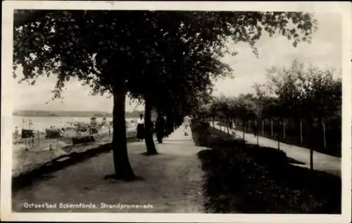 Ak Eckernförde in Schleswig Holstein, Strandpromenade, Passanten