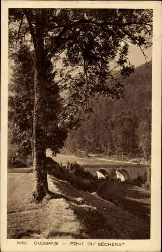 Ak Bussang Vosges, Pont du Sechenat