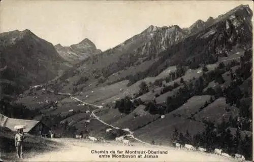 Ak Montreux Kanton Waadt Schweiz, Chemin de fer Montreux-Oberland entre Montbovon et Jaman