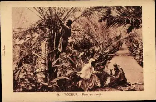 Ak Tozeur Tunesien, Partie im Garten, Palmen