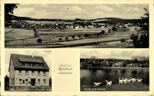 Ak Herschbach im Westerwald, Panorama, Gasthof und Pension von Julius Stein, Teich, Gänse