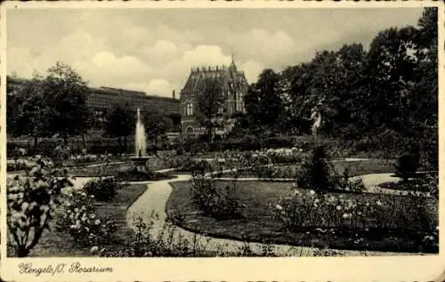 Ak Hengelo Overijssel Niederlande, Rosarium