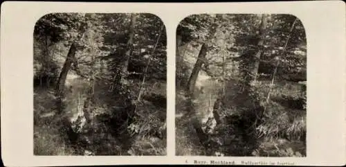 Stereo Foto Bayrisches Hochland, Waldpartie im Isartal