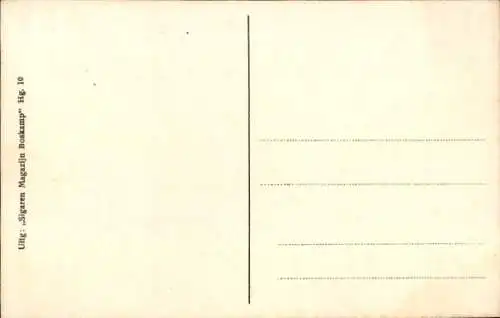 Ak Hengelo Overijssel, Thorbeckestraat, Tuindorp