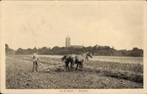 Ak Havelte Drenthe Niederlande, In de Esch, Bauer bestelt Feld, Pferdegespann, Pflug