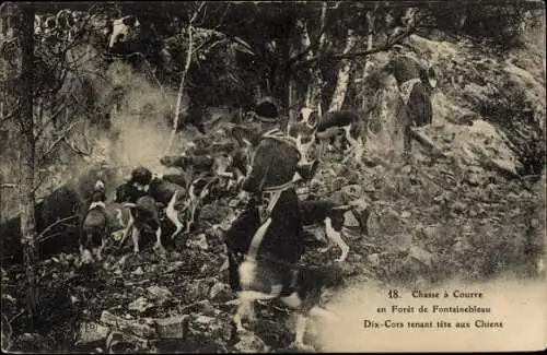 Ak Jagd im Wald von Fontainebleau, Hundemeute steht einem Hirsch gegenüber