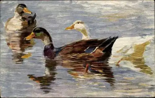 Künstler Ak Heyden, H. v., Enten im Teich