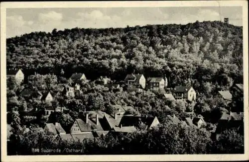 Ak Bad Suderode Quedlinburg im Harz, Panorama