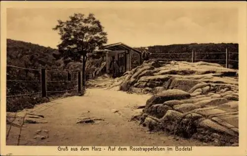 Ak Thale im Harz, Rosstrappe, Rosstrappefelsen, Bodetal