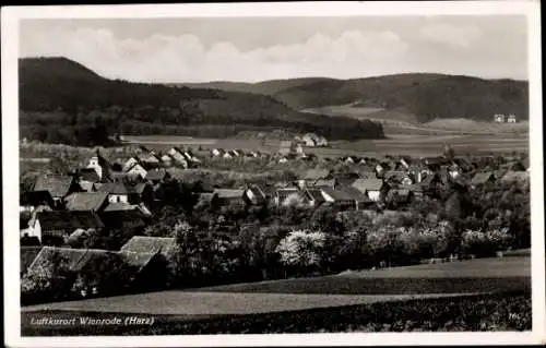 Ak Wienrode Blankenburg am Harz, Totalansicht vom Ort