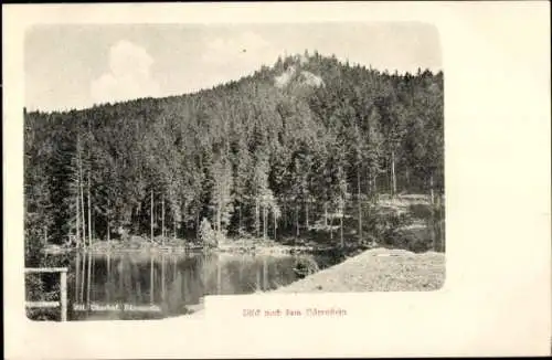 Ak Oberhof im Thüringer Wald, See