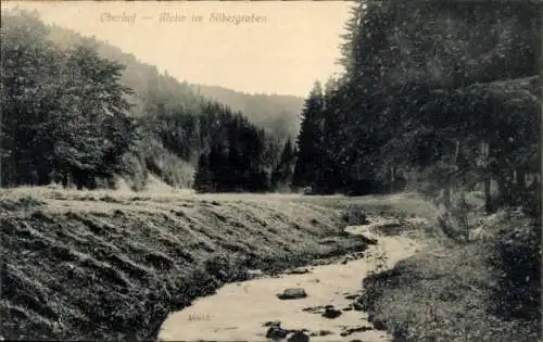 Ak Oberhof im Thüringer Wald, Silbergraben