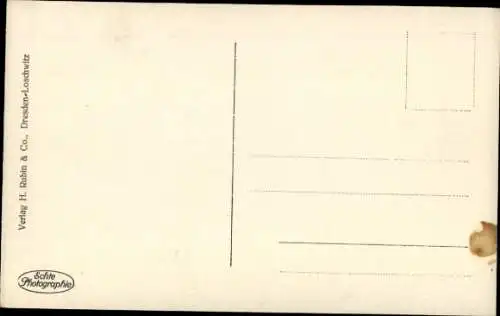 Ak Ostseebad Eckernförde, Panorama