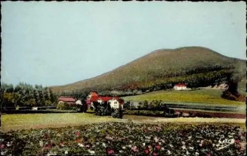 Ak Le Donon Hohe Donne Elsass Bas Rhin, Hotel Velleda