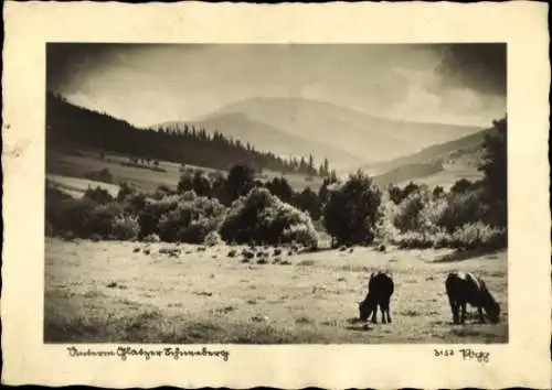 Ak Międzygórze Wölfelsgrund Schlesien, Glatzer Schneeberg, Śnieżnik Kłodzki, Králický Sněžník