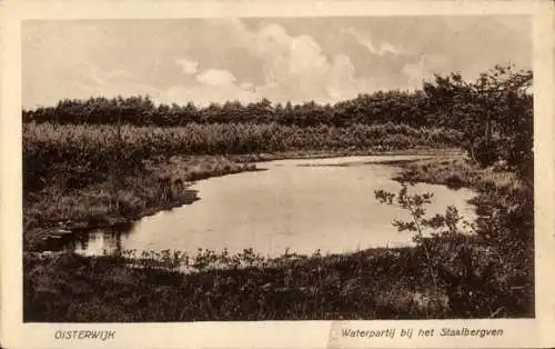 Ak Oisterwijk Nordbrabant Niederlande, Staalbergven