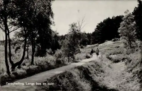 Ak Terschelling Friesland Niederlande, Dünen und Wald