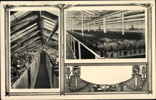 Ak Bösdorf an der Elster Leipzig, Gartenbaubetrieb Alfred Schumann, Gewächshäuser