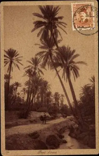 Ak Port Said Ägypten, Oase, Palmen