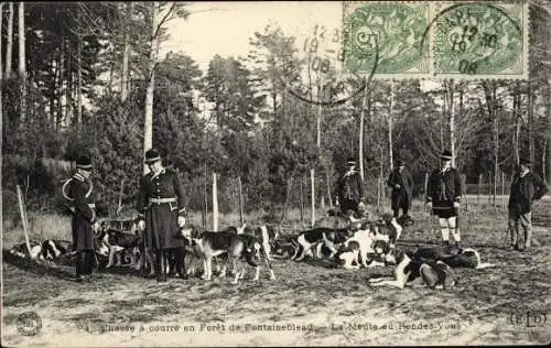 Ak Jagd im Wald von Fontainebleau, Hundemeute am Treffpunkt