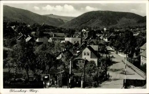 Ak Ilsenburg im Harz, Panorama