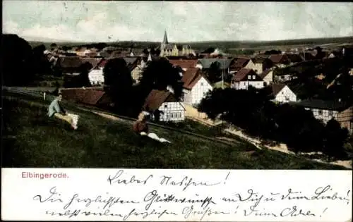 Ak Elbingerode Oberharz am Brocken, Panorama