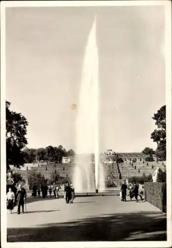 Ak Potsdam, Schloss Sanssouci, Terrassen, Große Fontaine