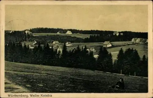 Ak Kniebis Freudenstadt im Schwarzwald, Panorama