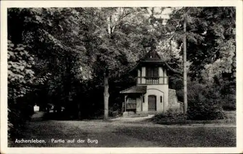 Ak Aschersleben in Sachsen Anhalt, Partie auf der Burg