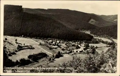 Ak Meuselbach Schwarzmühle Schwarzatal in Thüringen, Panorama