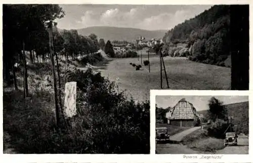 Ak Rod an der Weil Weilrod im Taunus, Pension Ziegelhütte, Landschaft