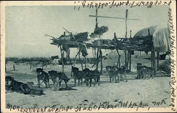 Ak Alaska USA, les coursiers du Nord, Cercle Arctique