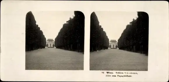 Stereo Foto Wien 13 Hietzing Österreich, Schloss Schönbrunn, Allee