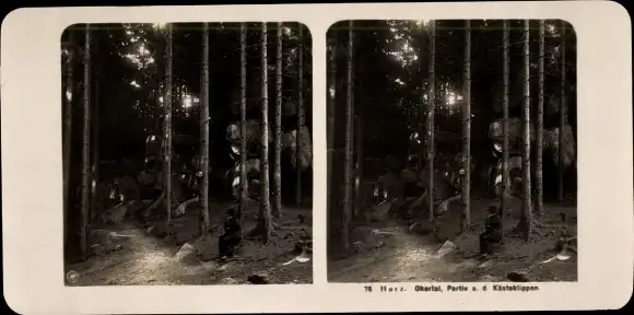 Stereo Foto Goslar am Harz, Partie im Okertal