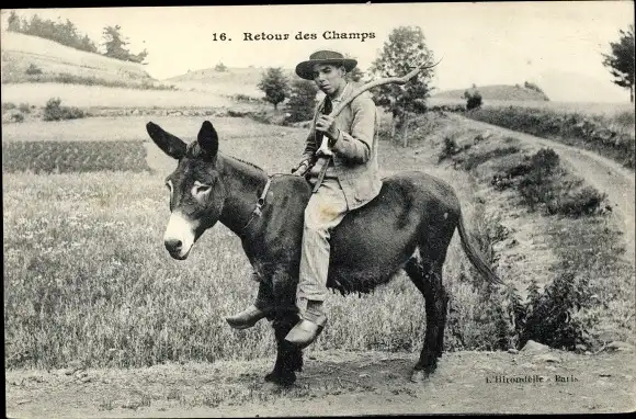 Ak Junger Mann reitet auf Esel, Feld, Stock