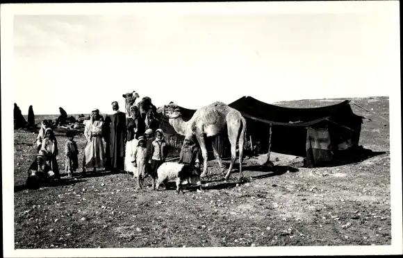 Ak Jericho Palästina, Beduinen, Zeltlager, Kamel