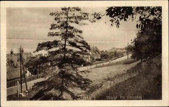 Ak Udsigt fra Odinshoj