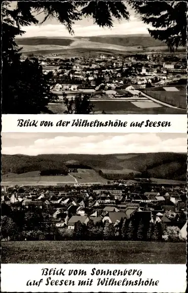 Ak Seesen am Harz, Blick von der Wilhelmshöhe, Blick vom Sonnenberg