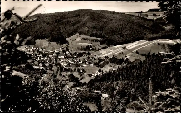 Ak Schenkenzell im Schwarzwald, Panorama