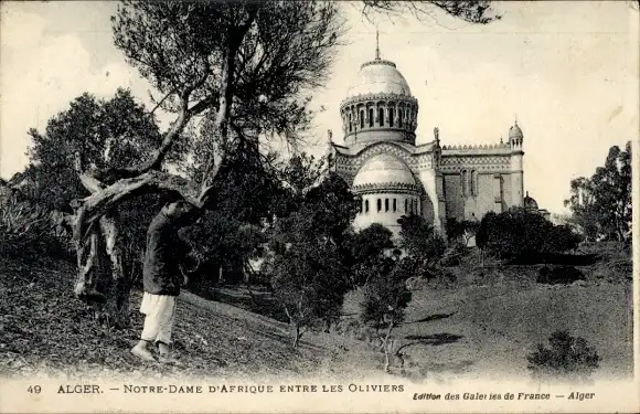 Ak Algier Algerier, Unsere Liebe Frau von Afrika, Olivenbäume