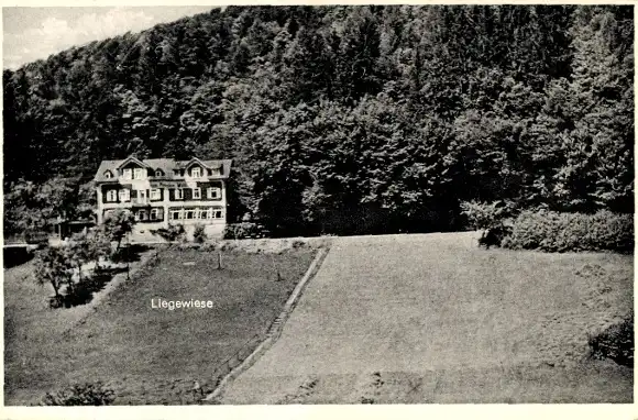 Ak Rod an der Weil Weilrod im Taunus, Pension Restaurant Haus Waldlust, Liegewiese