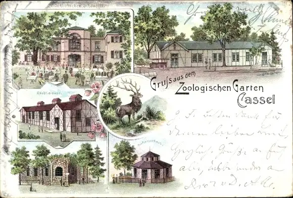 Litho Kassel in Hessen, Zoologischer Garten, Schlösschen Schönfeld, Raubtierhaus, Hirsch