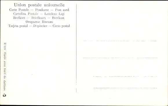 Künstler Ak Oase mit Dattelpalmenwald, Maghreb