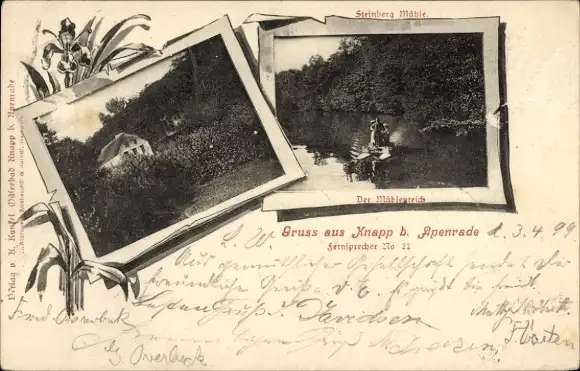 Ak Aabenraa Apenrade Dänemark, Knapp, Steinberg Mühle, Mühlenteich