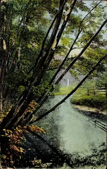 Ak Aumühle in Schleswig Holstein, Waldidyll, Partie an der Bille, Vegetation