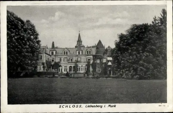 Ak Liebenberg Löwenberger Land in der Mark, Schloss