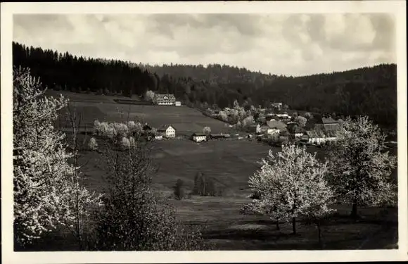 Ak Rabenstein Zwiesel im Bayerischen Wald, Teilansicht, Kirschblüte