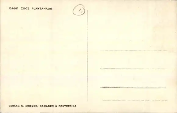 Ak Zuoz Kanton Graubünden, Plantahaus